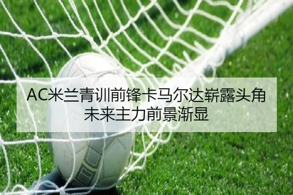 AC米兰青训前锋卡马尔达崭露头角未来主力前景渐显